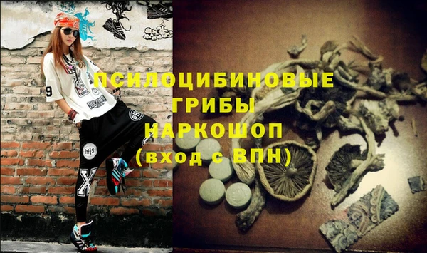 мяу мяу мука Арсеньев