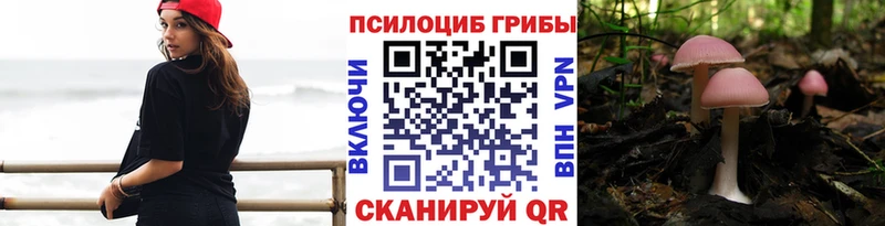 ссылка на мегу ссылки  где найти наркотики  Котельники  Галлюциногенные грибы прущие грибы 